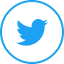 twitter-logo-colored-bordered